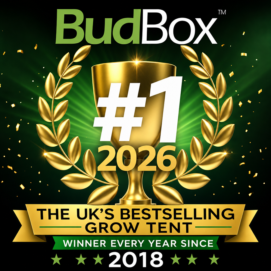 budbox uk number 1 award winner