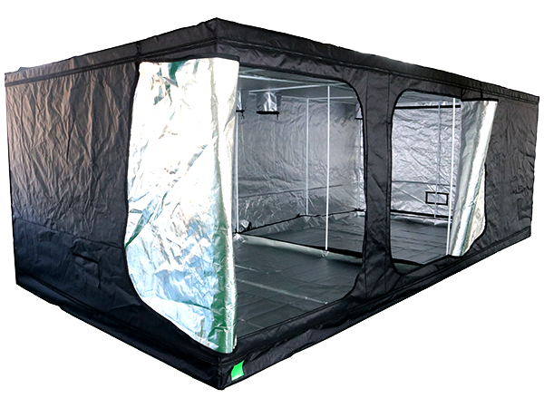 budbox lite grow tent 600x300x200